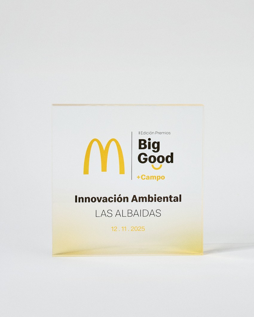 Personalized acrylic award VITRA MAXI Plaque format Sustain Awards